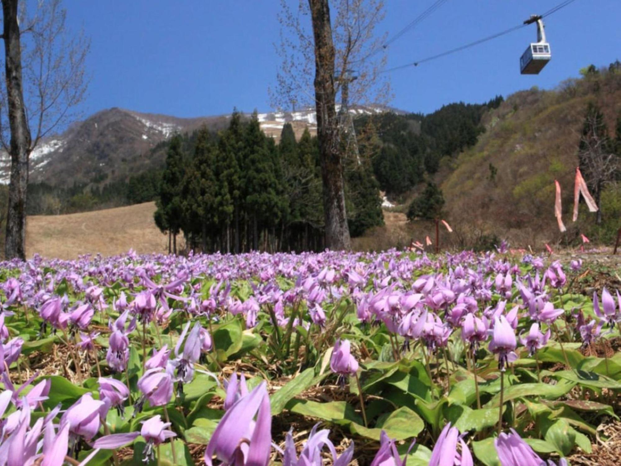 Pension Come Tatami-Room With A Calm Atmosphere - Vacation Stay 14983 Minamiuonuma Exterior foto